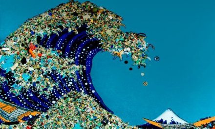 Plastic in the ocean