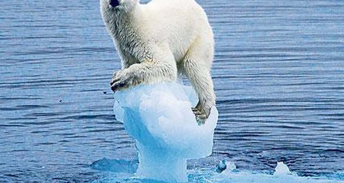 Arctic ice sets new record low for winter