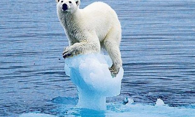 Arctic ice sets new record low for winter