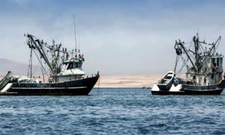 Guide to responsible fish consumption