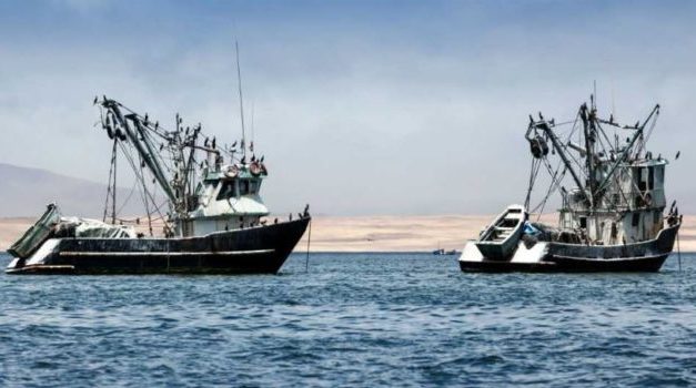 Guide to responsible fish consumption