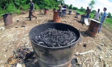 How biochar fertilization works…and practical techniques from Nepal