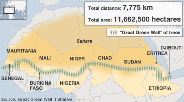 Afforestation against desertification