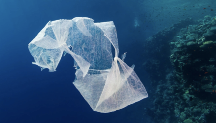Solutions to reducing plastic pollution in the oceans