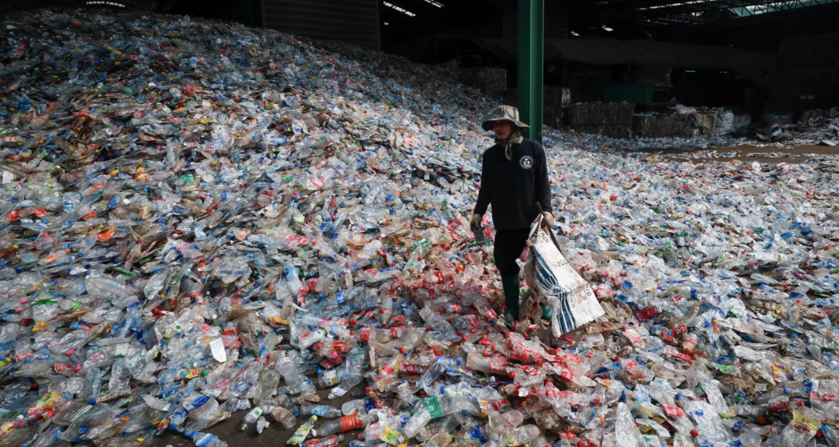 The end of plastic? New plant-based bottles will degrade in a year